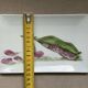 Small botanical porcelain tray hand-painted – bean design