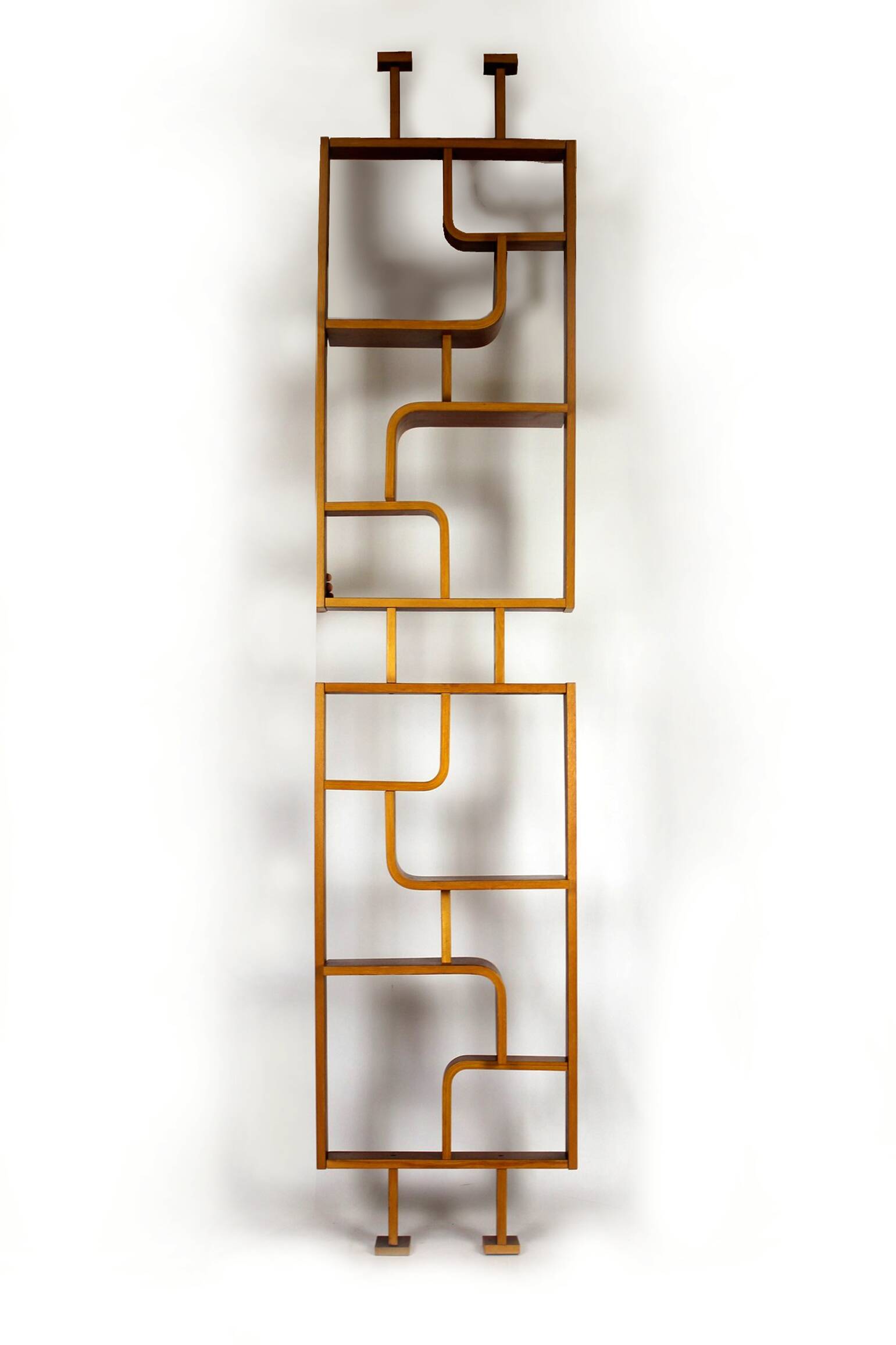 Mid-Century Room Divider by Ludvik Volak for Drevopodnik Holesov, 1960s