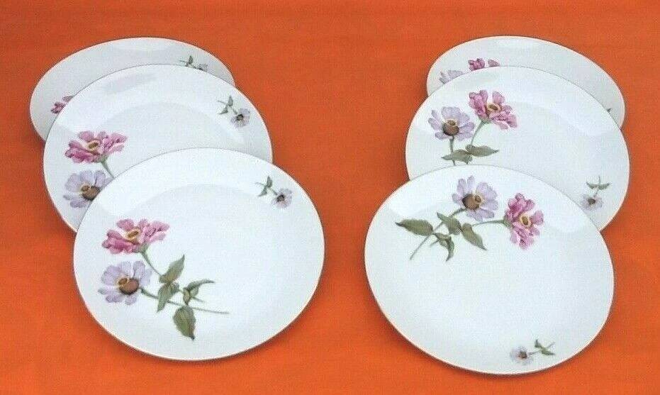 6 flat plates Fine Bohemian porcelain Floral decoration on a white background