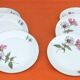 6 flat plates Fine Bohemian porcelain Floral decoration on a white background