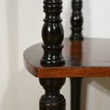 Double-Top Flying Table in Mahogany and Ebonized Pear Wood, Napoleon III Style – 1930