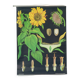 Large Vintage School Card Sunflower Jung Koch Quentell 117cm