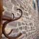 Vintage parrot coat rack Fischel