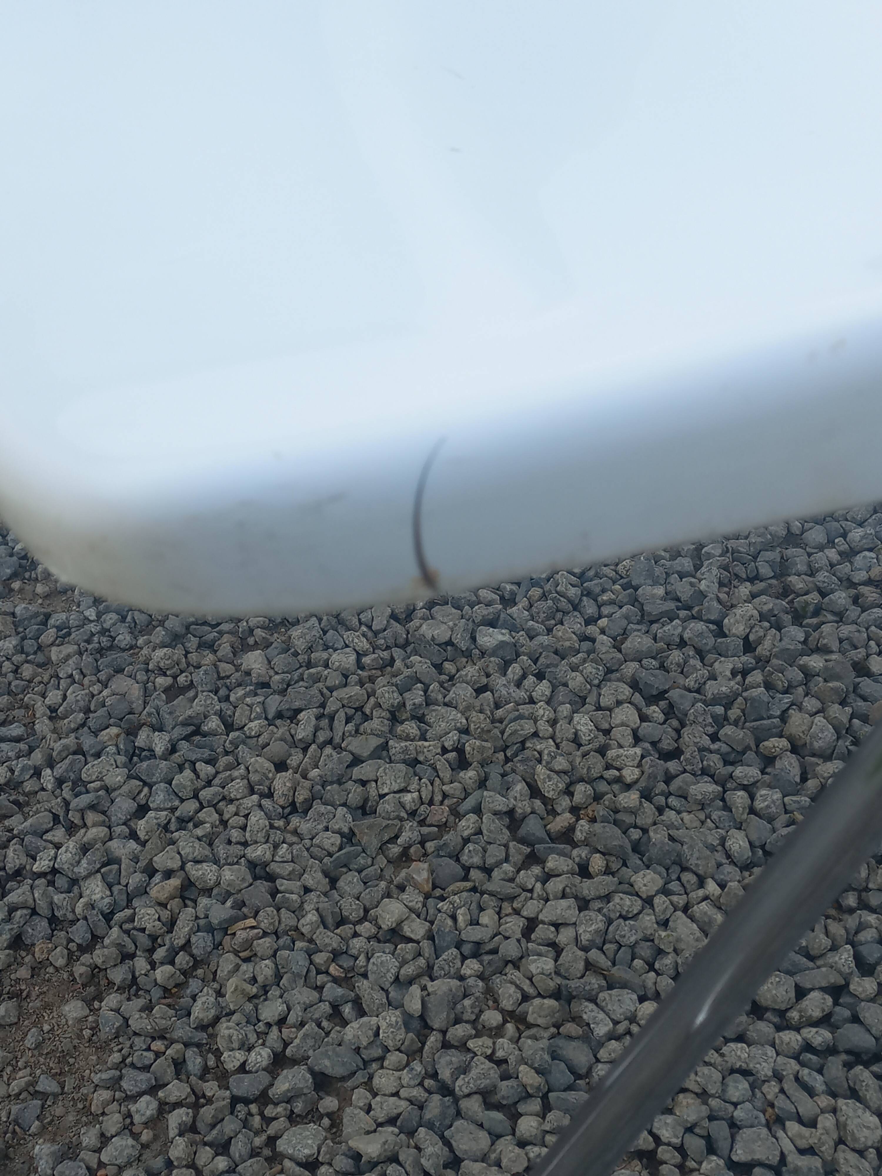 Set of 6 chairs designed by Svante Schöblom Overman, 1970s Sweden