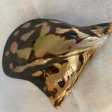 Vintage mother-of-pearl