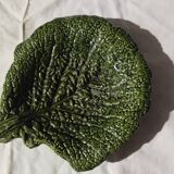 small dish of cabbage leaf slip