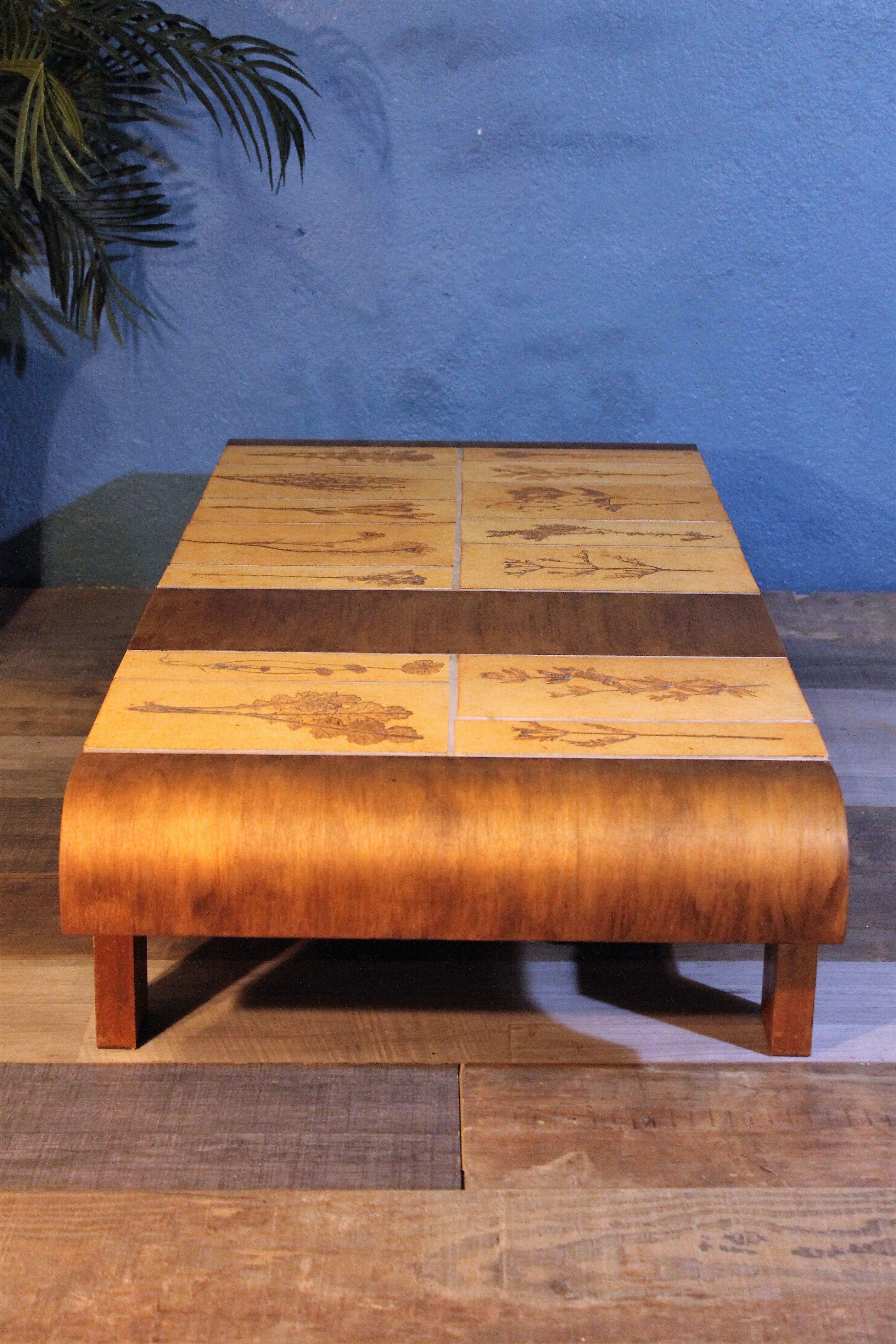 Herbarium Capron coffee table, 1960s