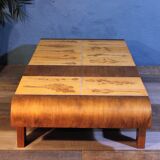 Herbarium Capron coffee table, 1960s