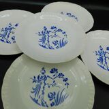5 flat plates Digoin Sarreguemines - Paradise
