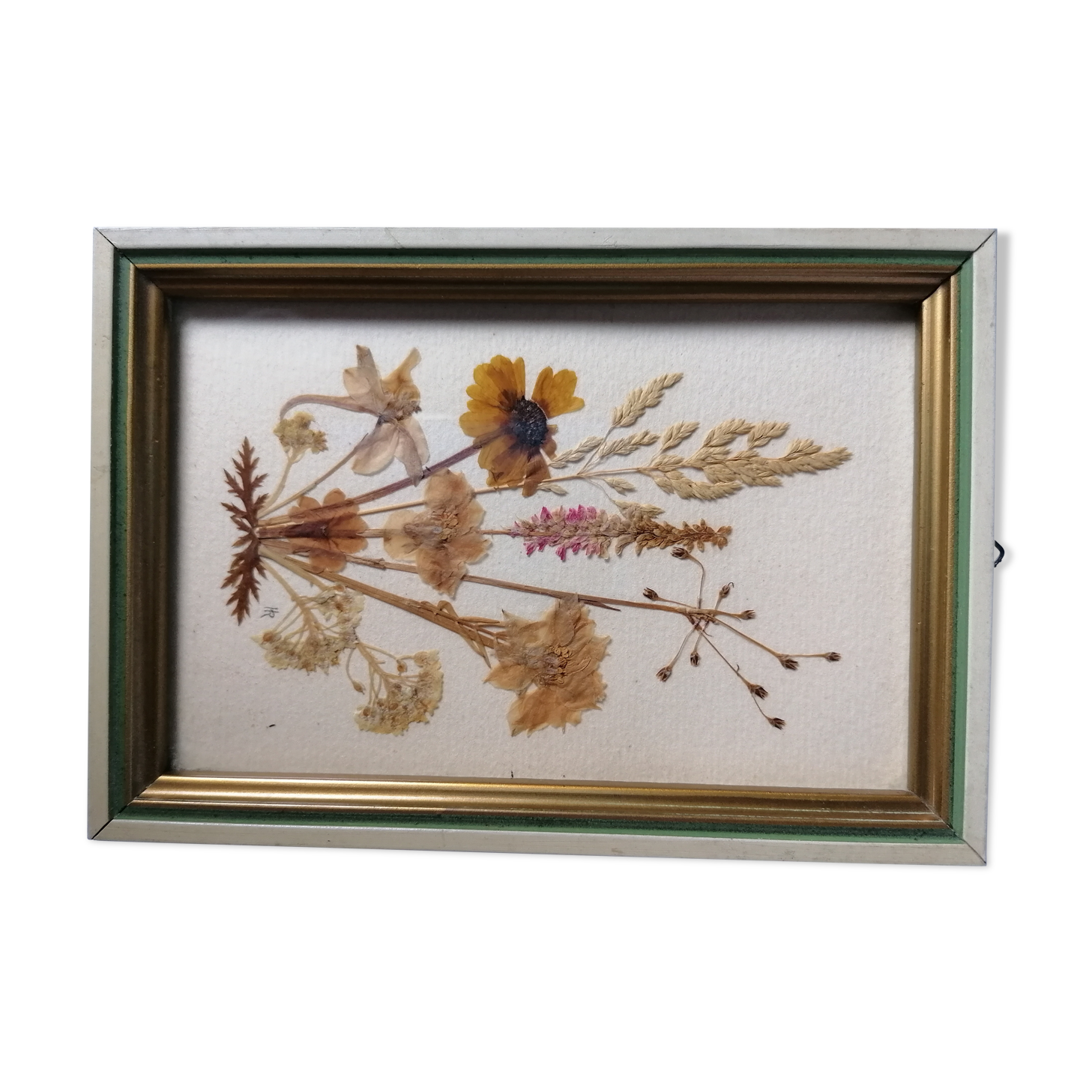 Herbier