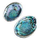Shells