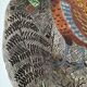 Gien Rambouillet Plate - Jean Bertholle – Hand-painted
