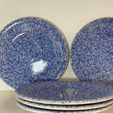 5 speckled plates