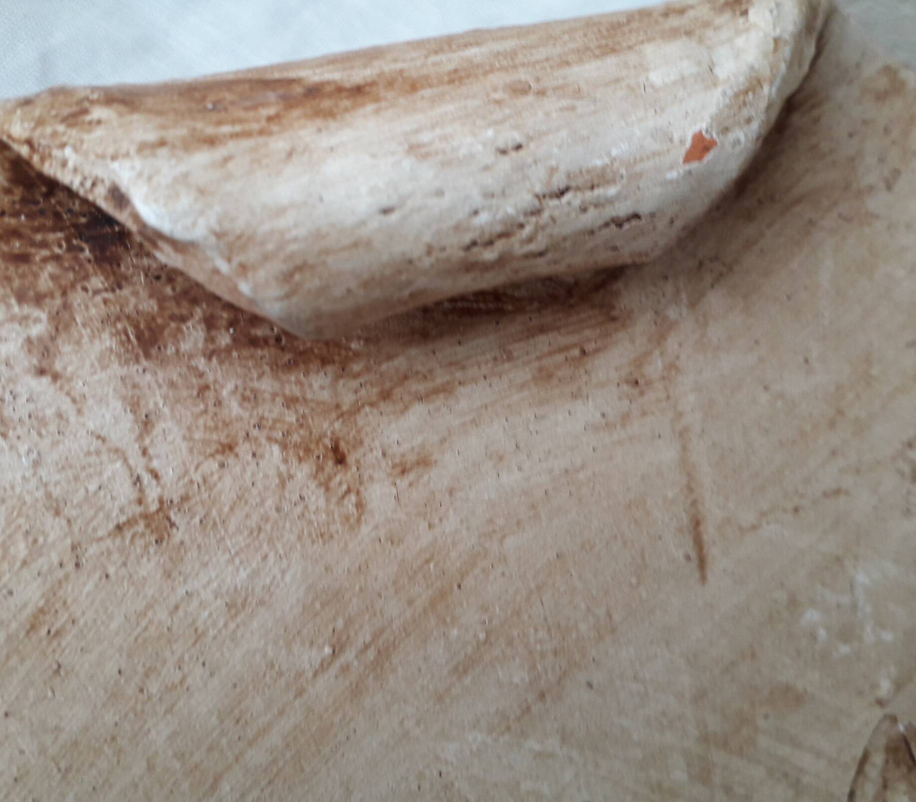 Herbarium cut dish
