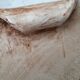 Herbarium cut dish