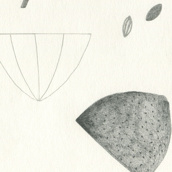 Citronnade - Dessin Original