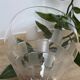 Set of 6 engraved wine glasses