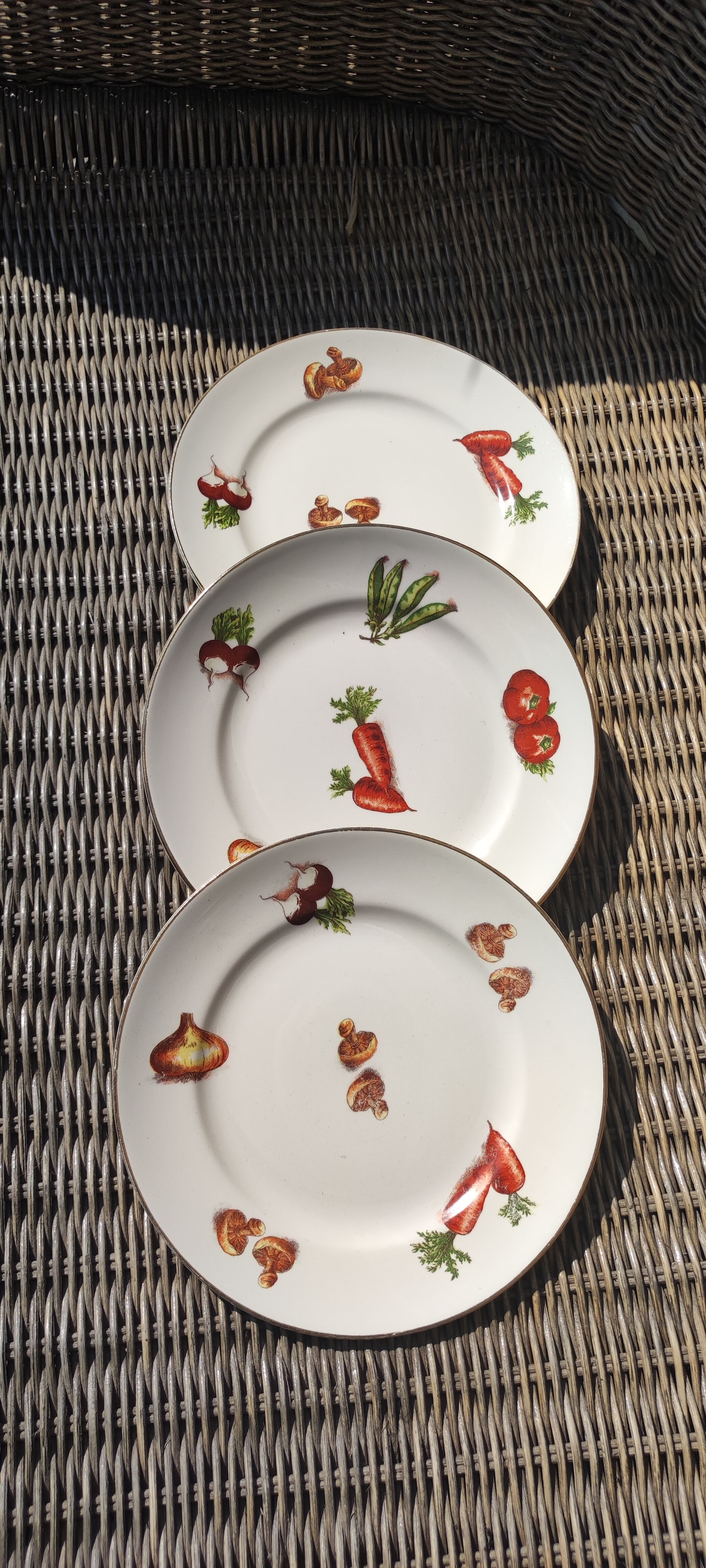 Dishes moulin des loups