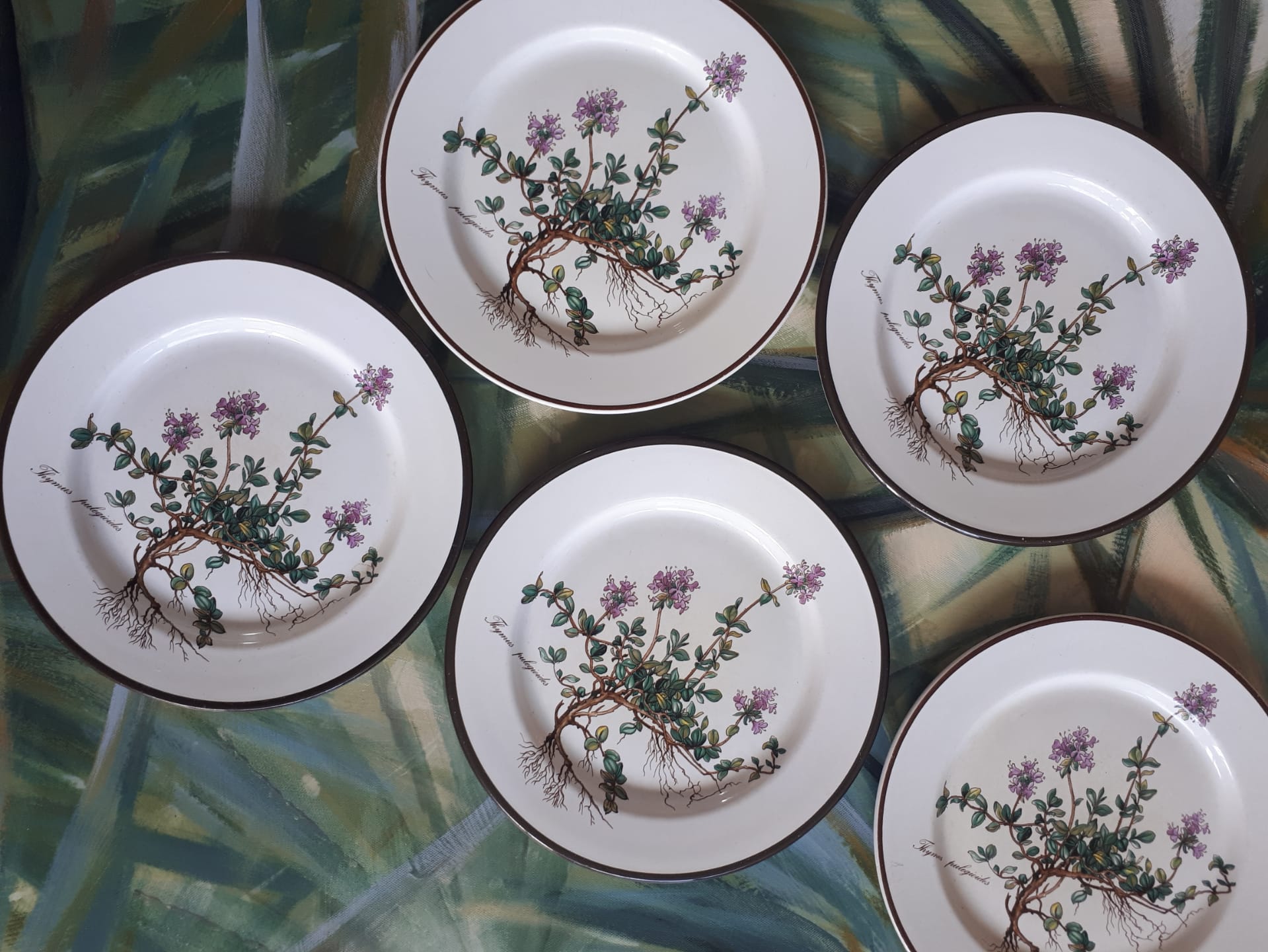 Lot of 5 dessert plates "Thymus" from the Botanica de Boch service