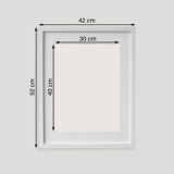 2 framed printed arts