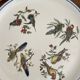 Round porcelain bird dish