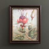 Suite of 3 floral illustrations