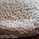 white coral "brain" - 836 grams - 13.5 x 9.8 x 8 cm