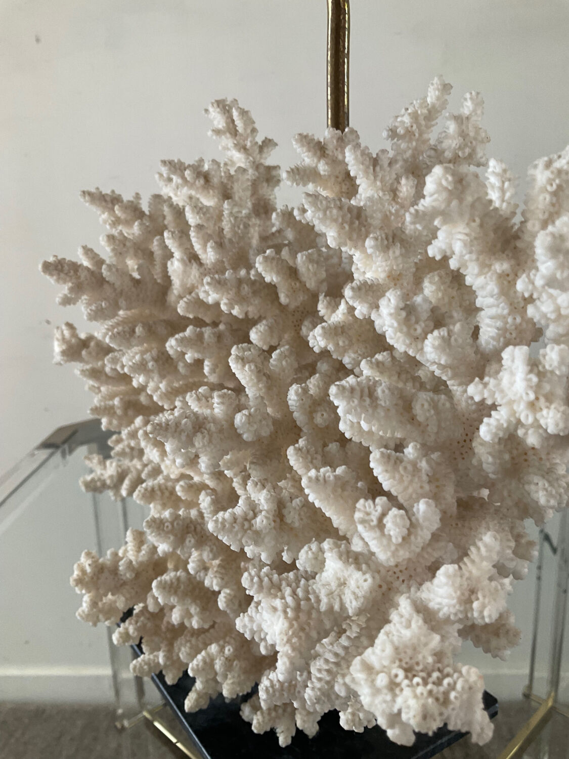 Hollywood Regency coral lamp from the 70s