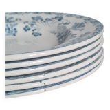 Service of 6 plates in iron earth