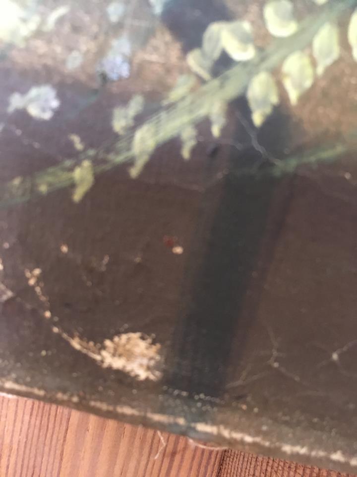 Still life with flowers country