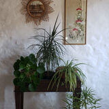 1900 indoor planter in beech and zinc