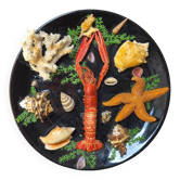 Insolite assiette murale vintage fruits de mer cabinet de curiosités