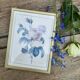 Lithograph Roses de Redouté