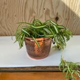 Copper pot cover