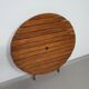 Ico Parisi garden seating set by Reguitti chairs / table