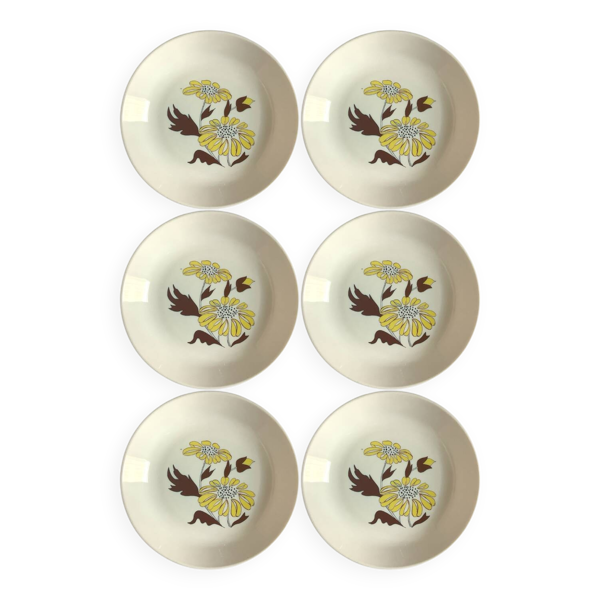 6 assiettes creuses vintage à fleurs – Souvirel France années 70