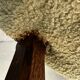 Original art deco chair – oak