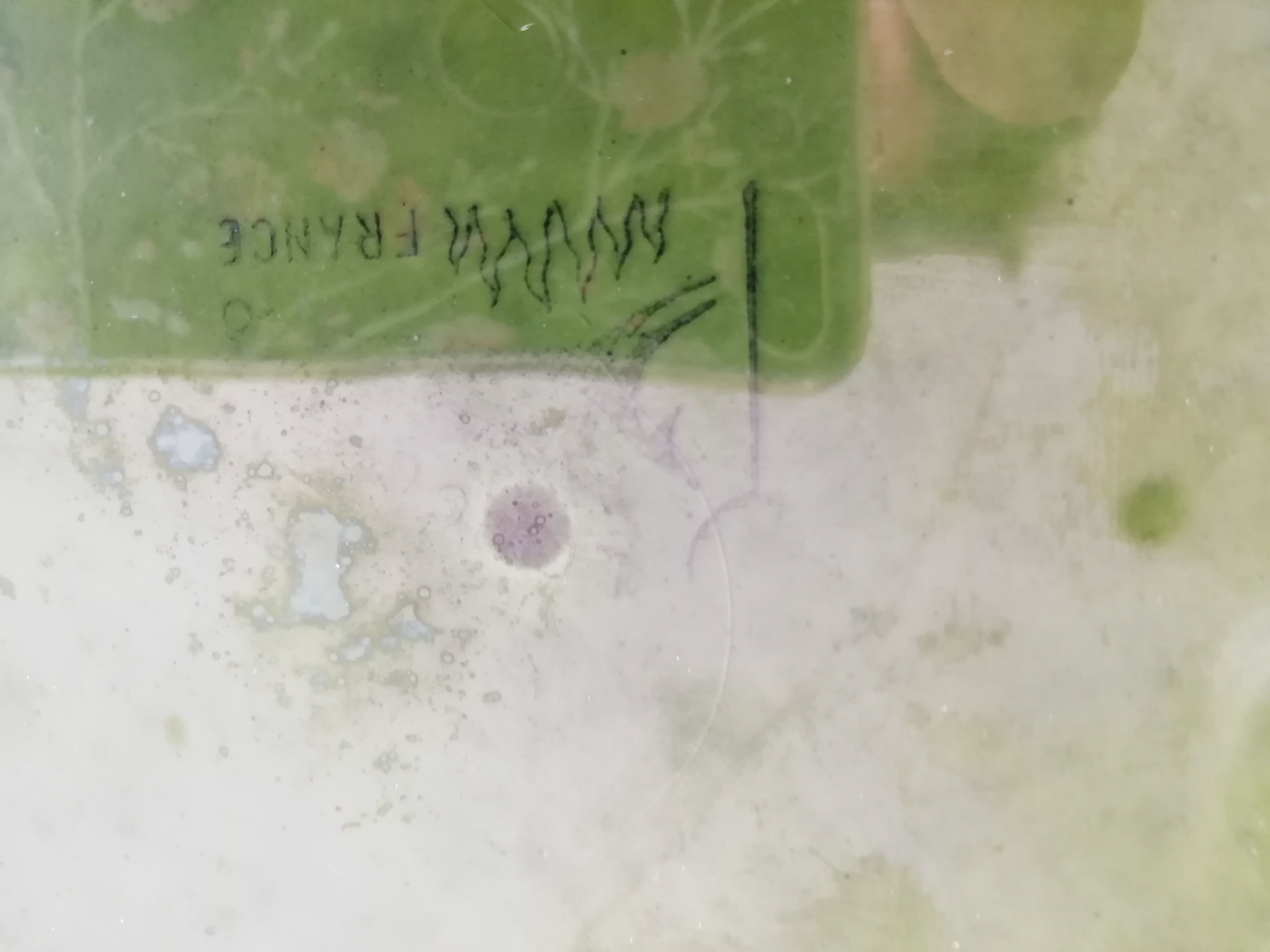 Longchamp dessert plates