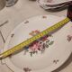 Plate presentation