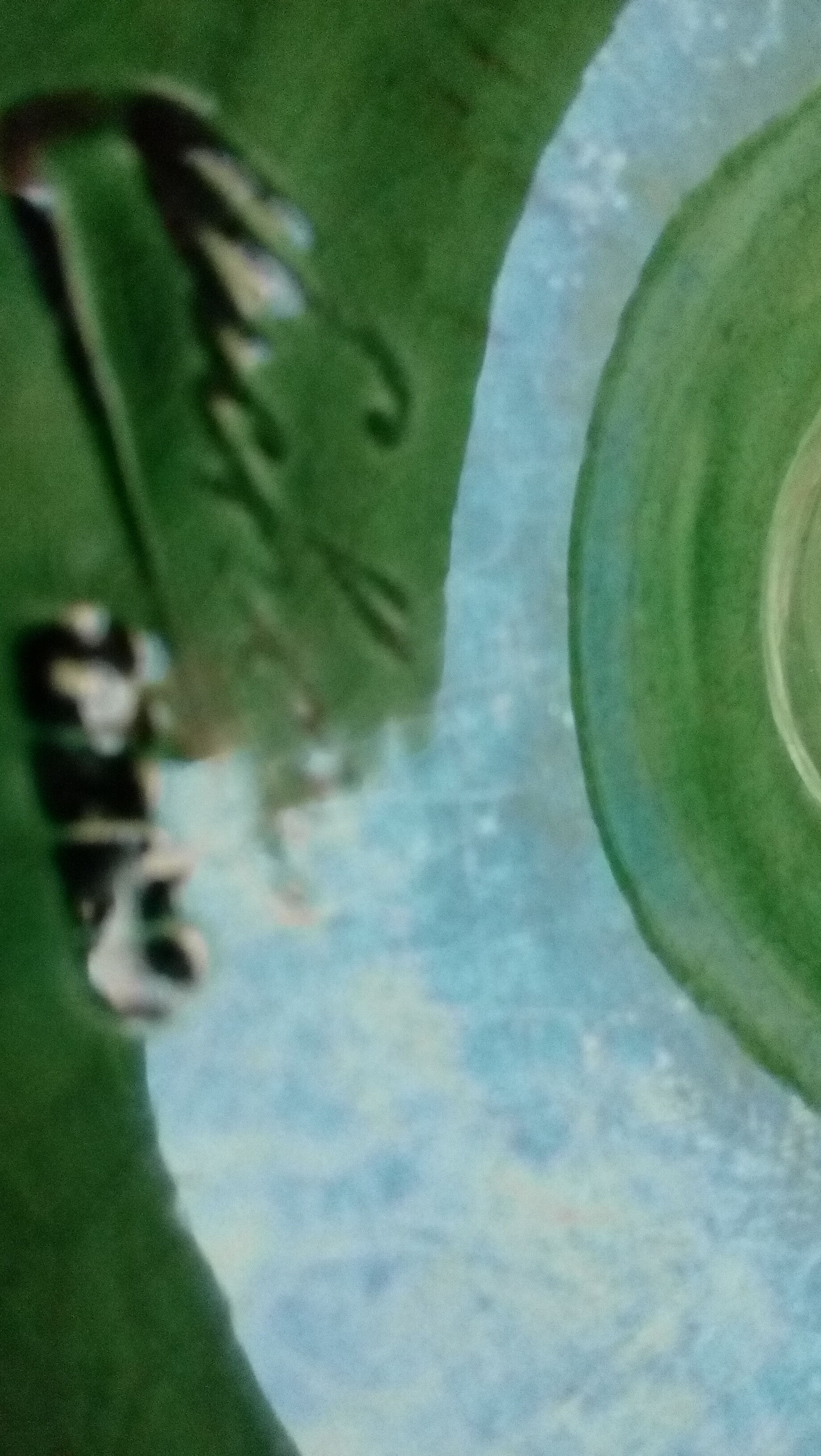 Pichon Uzès green ceramic empty-pocket braided cup