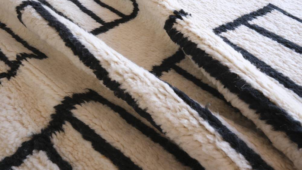 Contemporary Black and White Rug - 291 x 214 cm