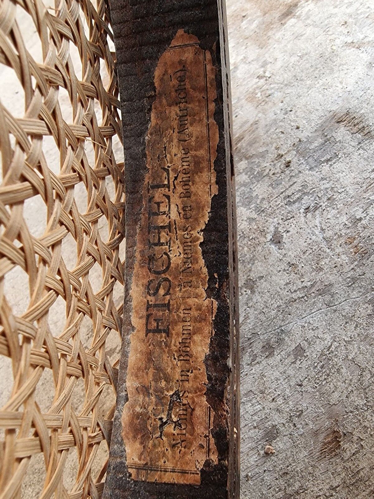 Antique chairs by Fischel