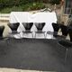 Lot of 7 chairs by Arne Jacobsen for Fritz Hansen