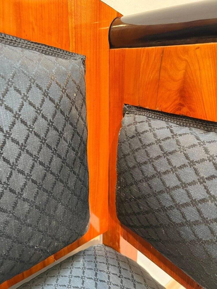 Biedermeier Sofa in Cherry Veneer and Horsehair, South Germany, 1830s