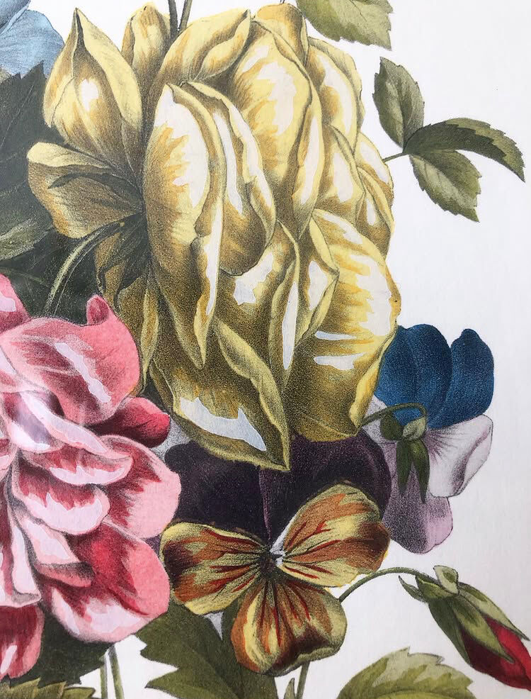 Vintage flower frame Jullien