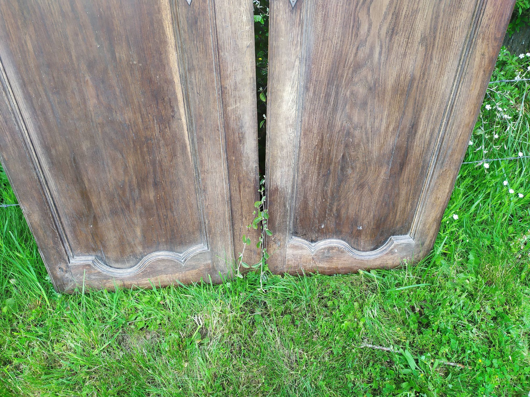 Portes d'armoire en chêne