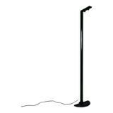 Ignazio floor lamp by Gianfranco Frattini for Luci
