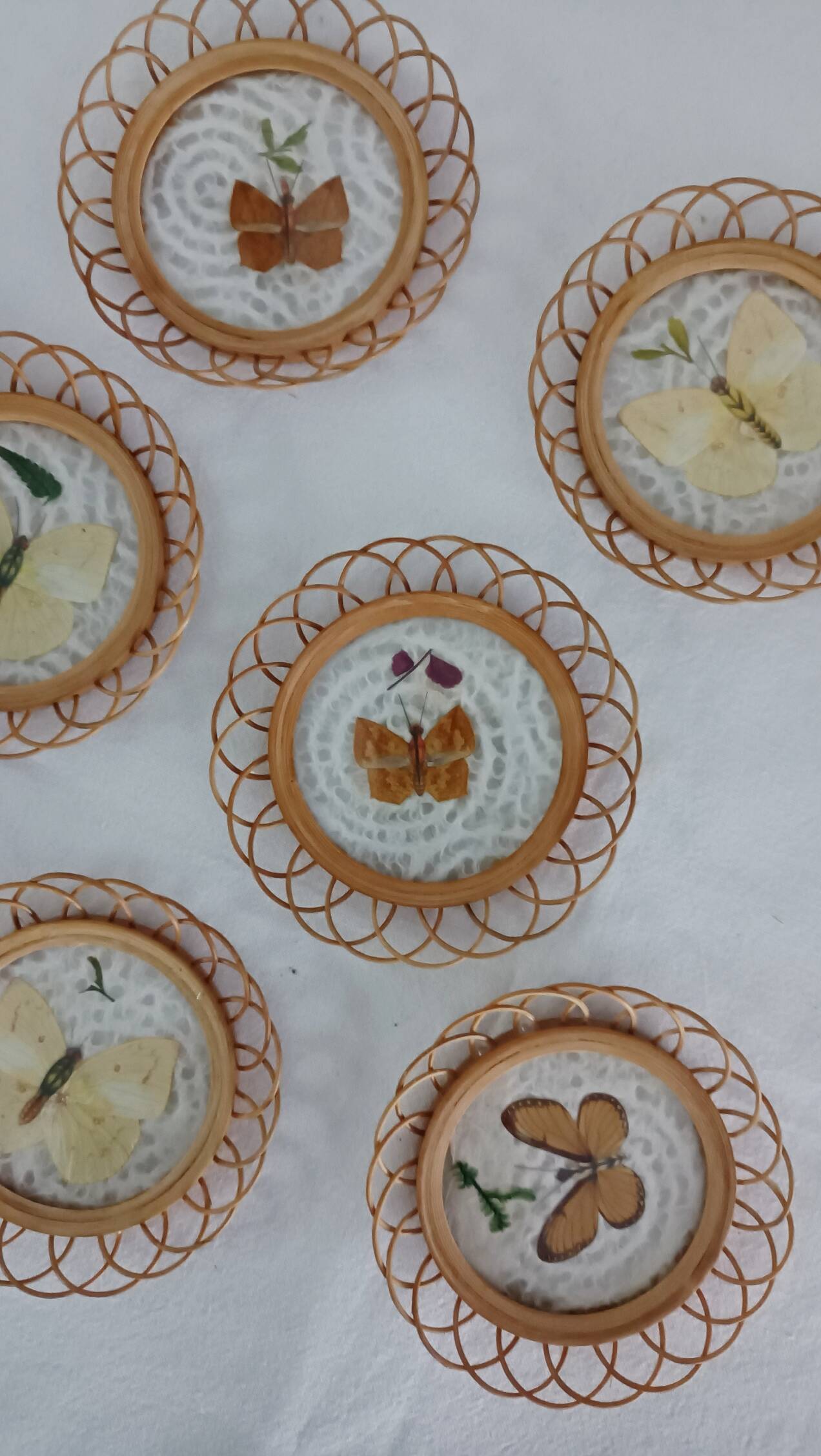 Set of 6 butterfly wicker coasters