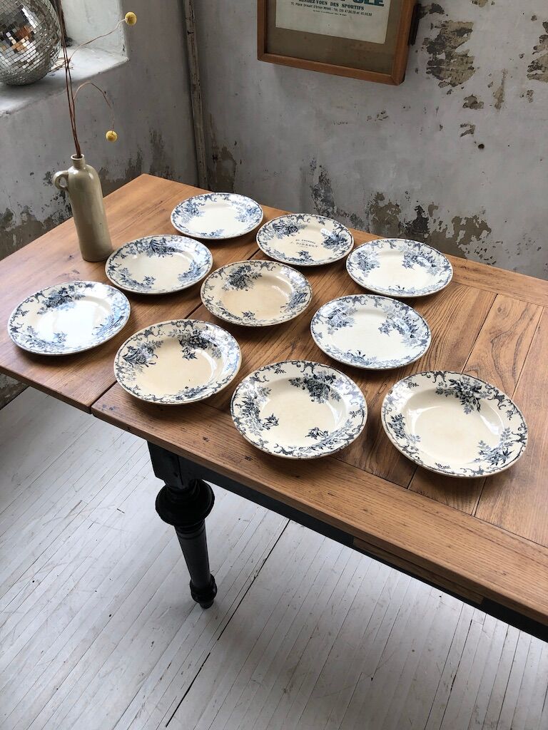 10 plates Terre de Fer Floreal Boulenger