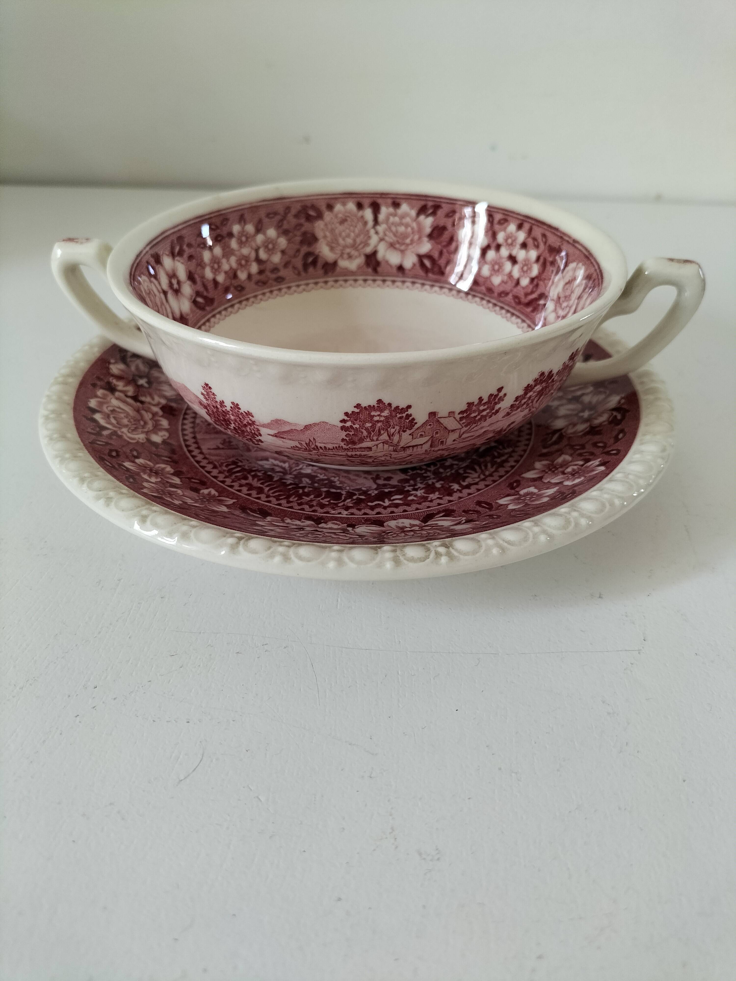 Villeroy and Boch Rusticana two-handled cup and saucer